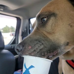 Meet your Posher, Peyton